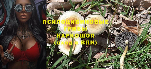 экстази Алексин